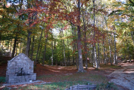 ΚΟΙΛΑΔΑ ΣΕΡΡΕΣ