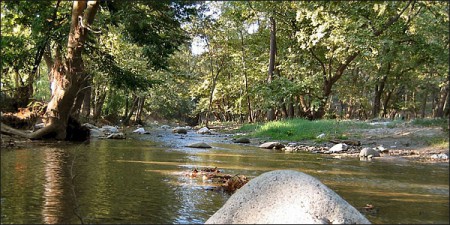 ΚΟΙΛΑΔΑ ΣΕΡΡΩΝ