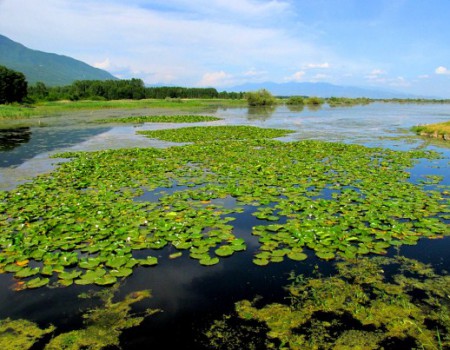 ΛΙΜΝΗ ΚΕΡΚΙΝΗ ΣΕΡΡΕΣ